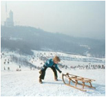 Winterrodelbahn am Teufelsberg