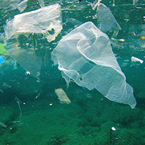 Plastik im Meer