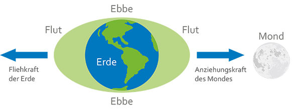 Gezeitenwirkung durch Flieh- und Schwerkraft