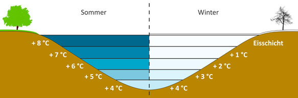 See im Sommer und Winter