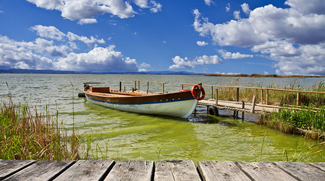 Amazonas Fluss