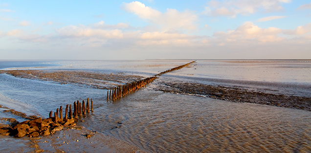 Das Wattenmeer